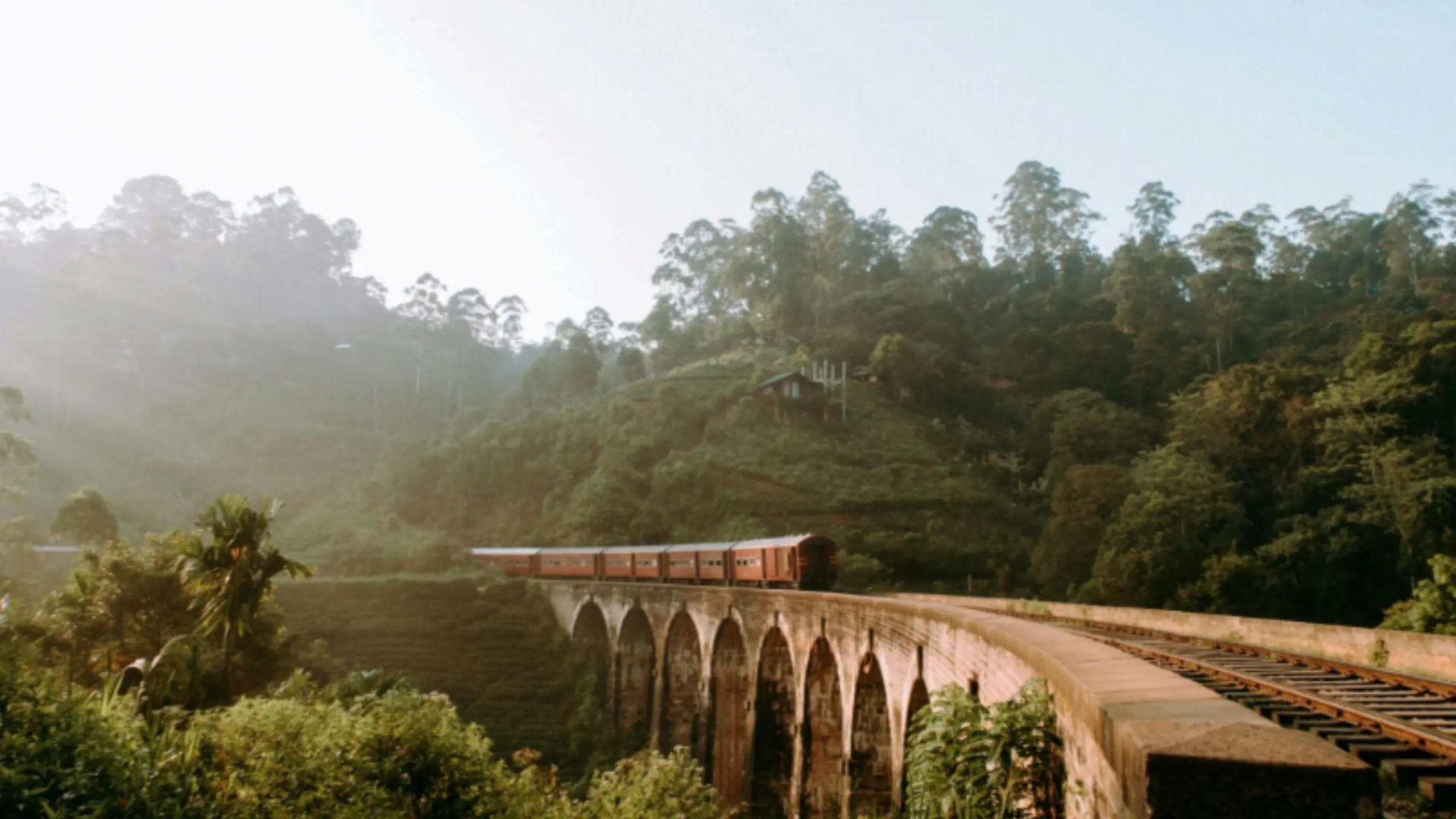 Ella Scenic train ride to Nuwara Eliya