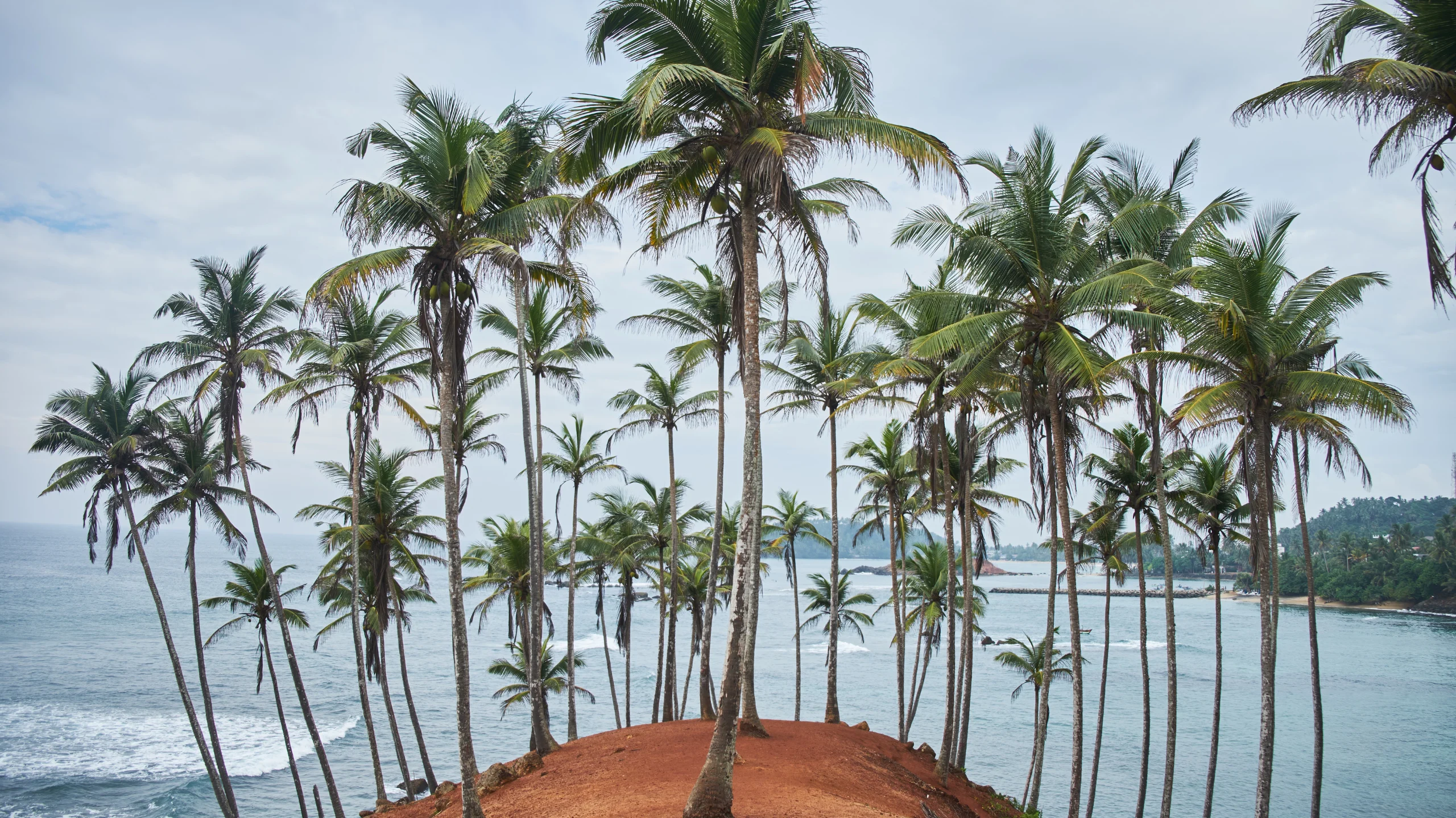 Coconut Tree Hill | Attractions in Mirissa