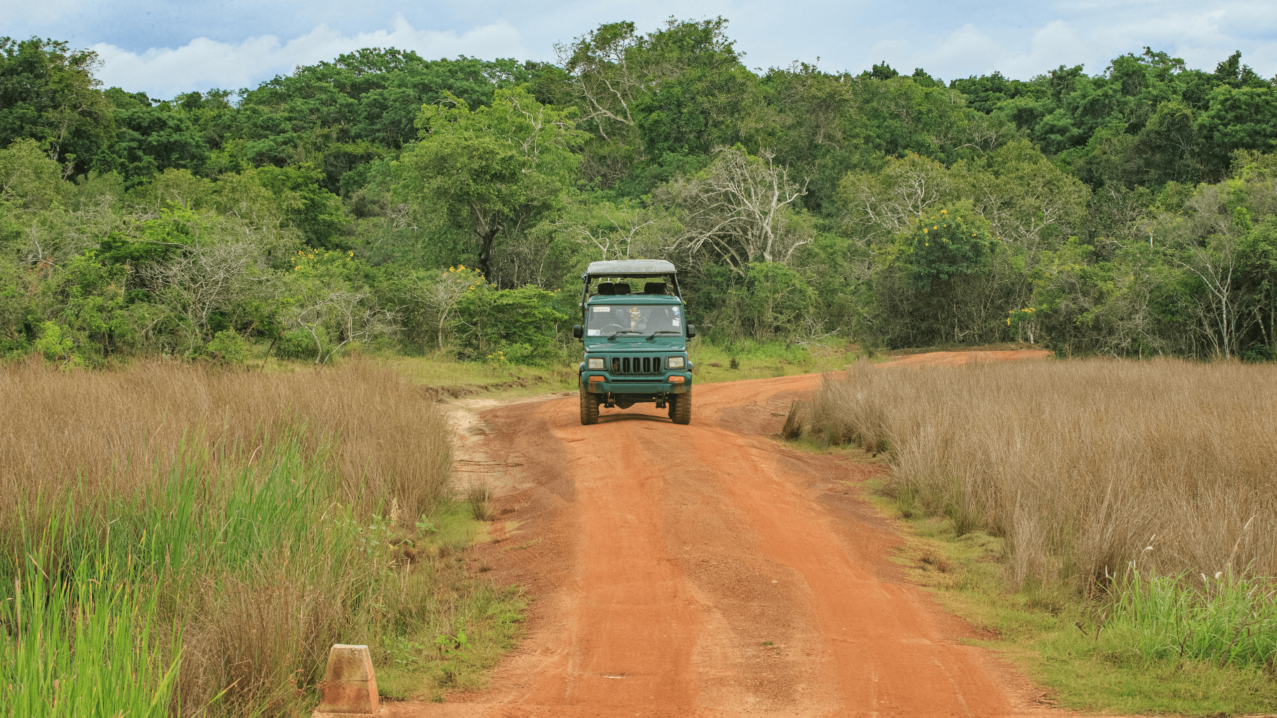 Udawalawe National Park Jeep Ride