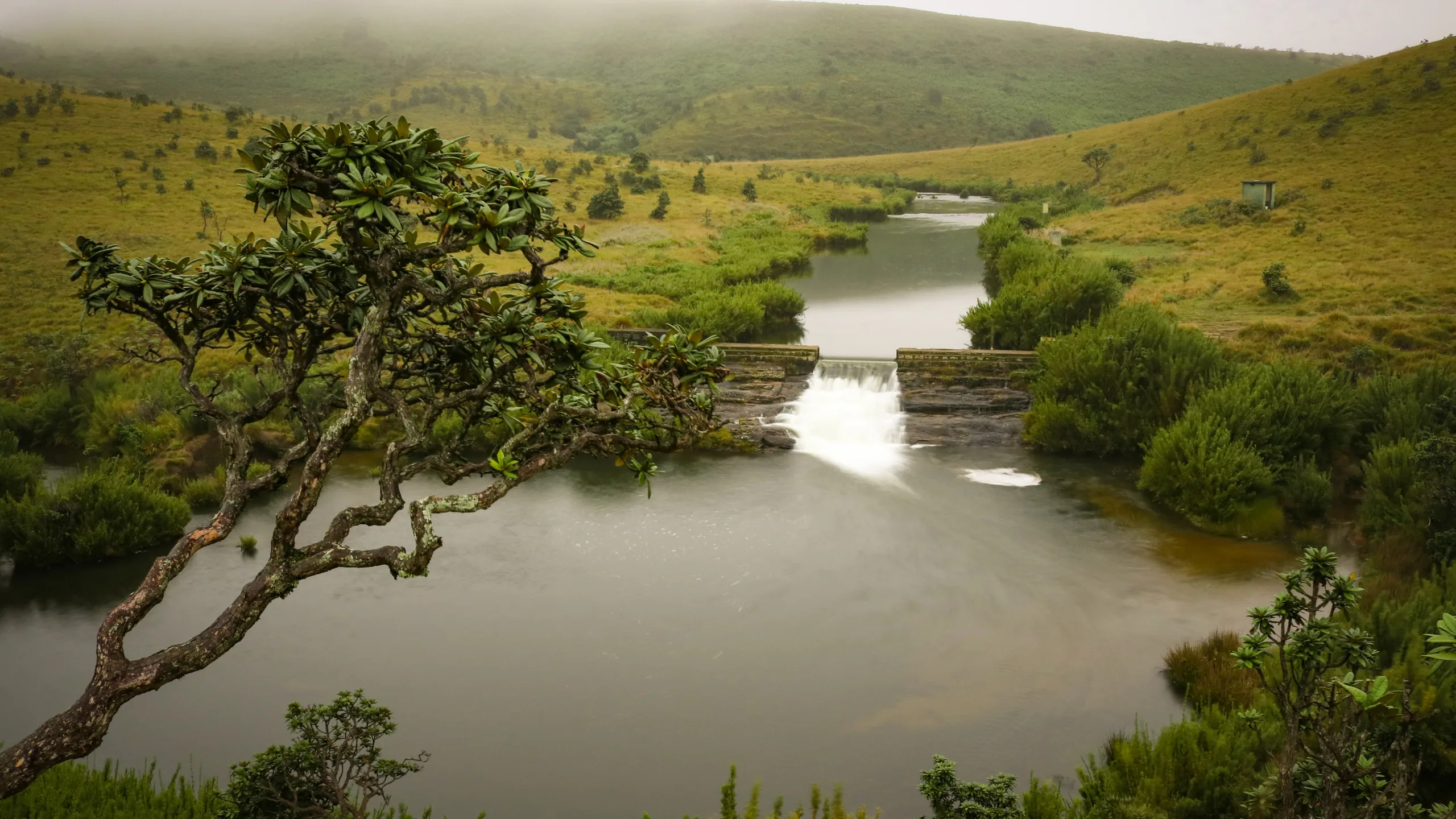 Horton Plains National Park
