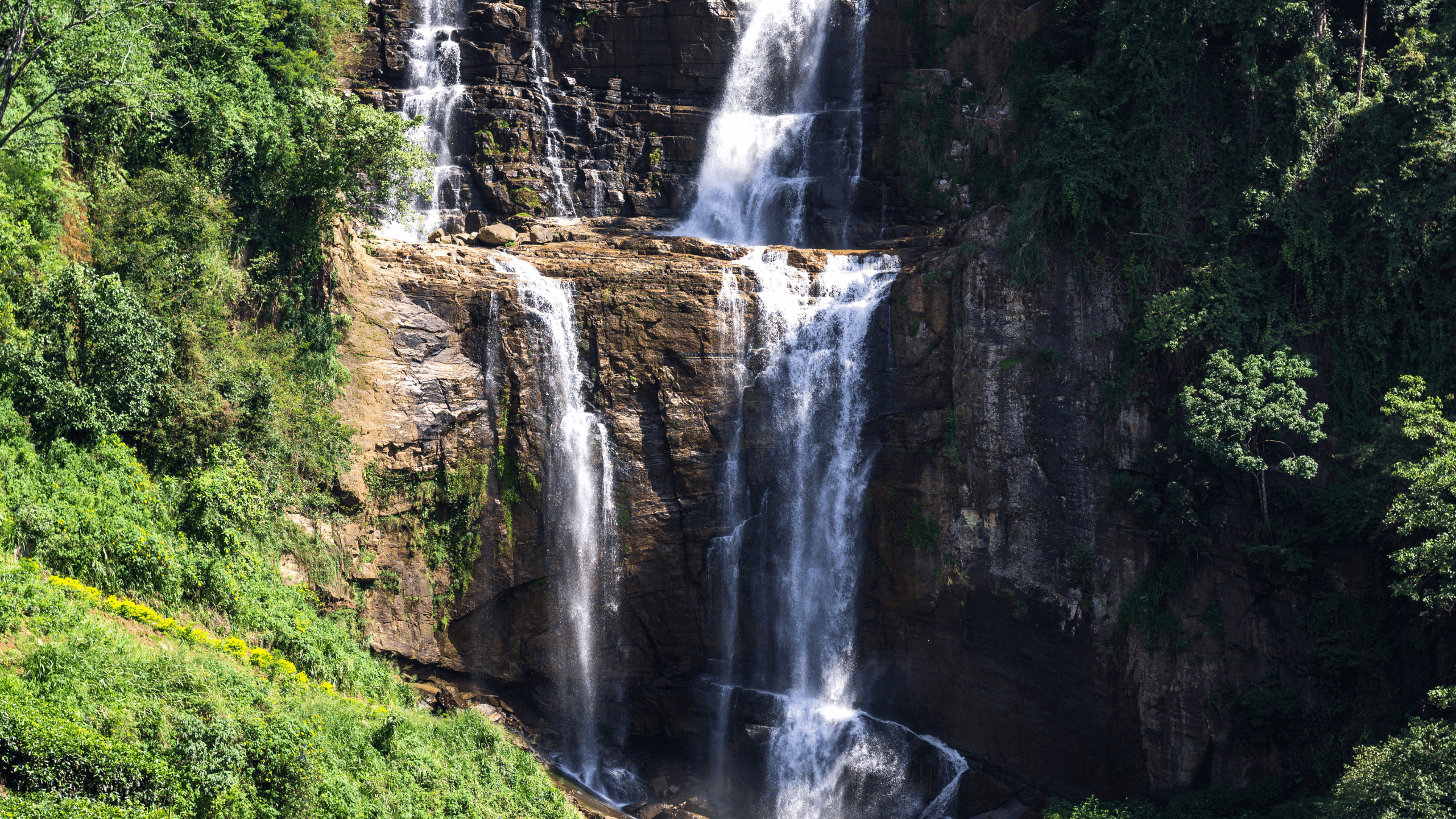 Island Legacy Images (48)